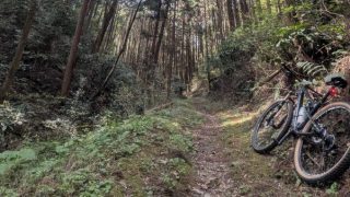 オープン後、2週間♪